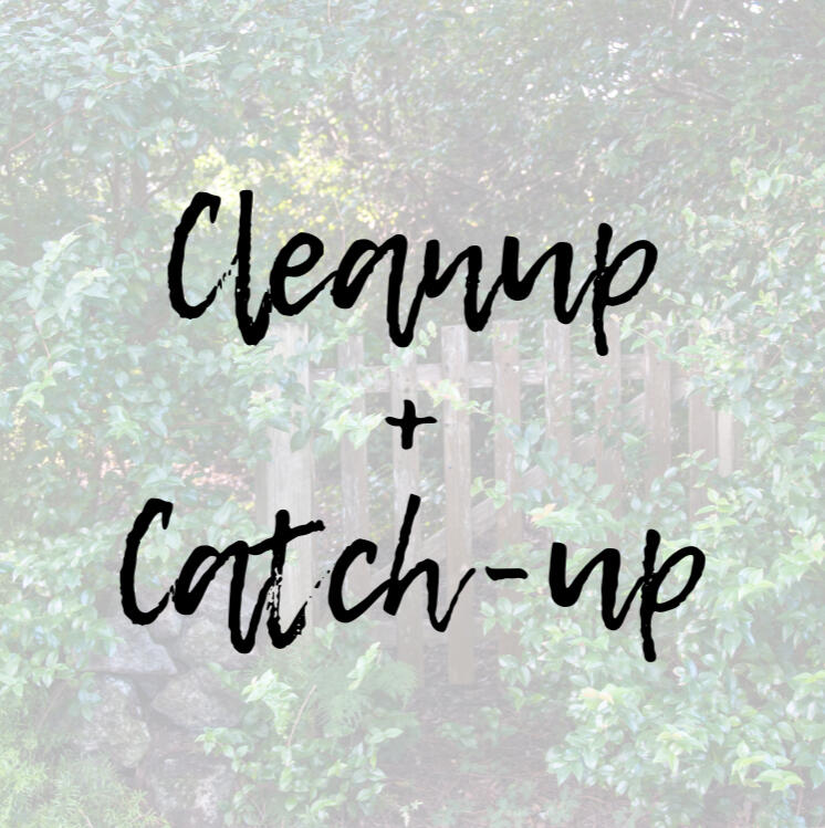 Cleanup and Catch-up