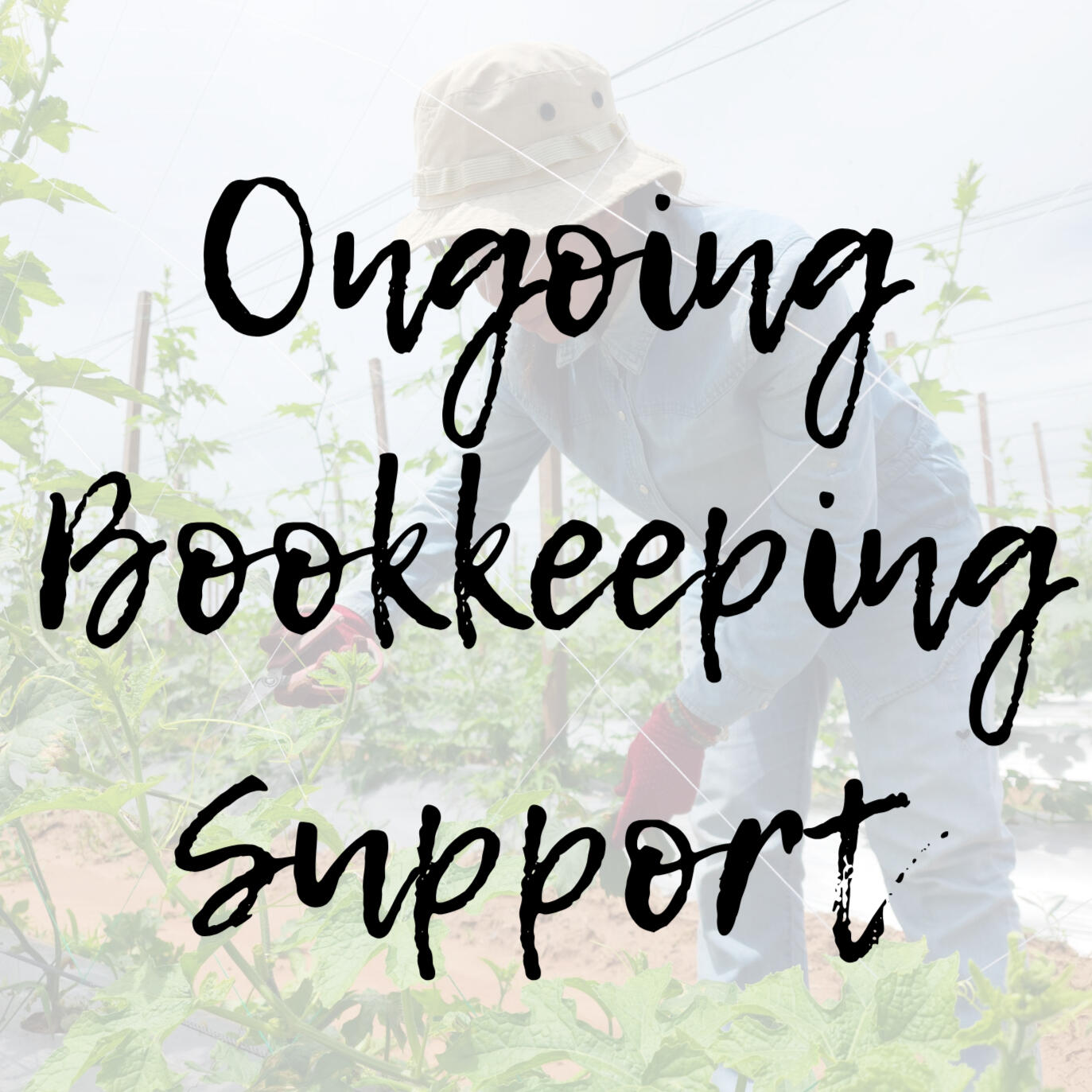 Ongoing Bookkeeping Support